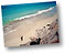 Florida Beaches