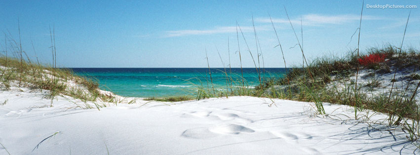 Florida Beaches - Grayton Beach Dunes